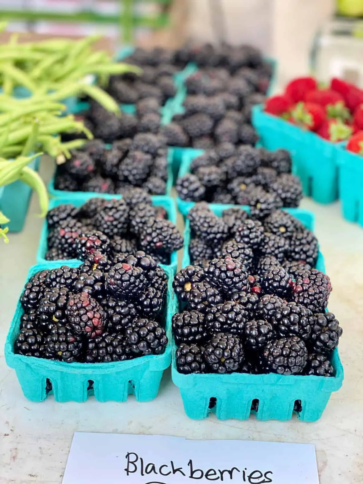 Two rows of baskets filled with blackberries for sale.